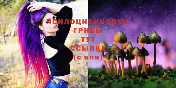 ECSTASY Волосово
